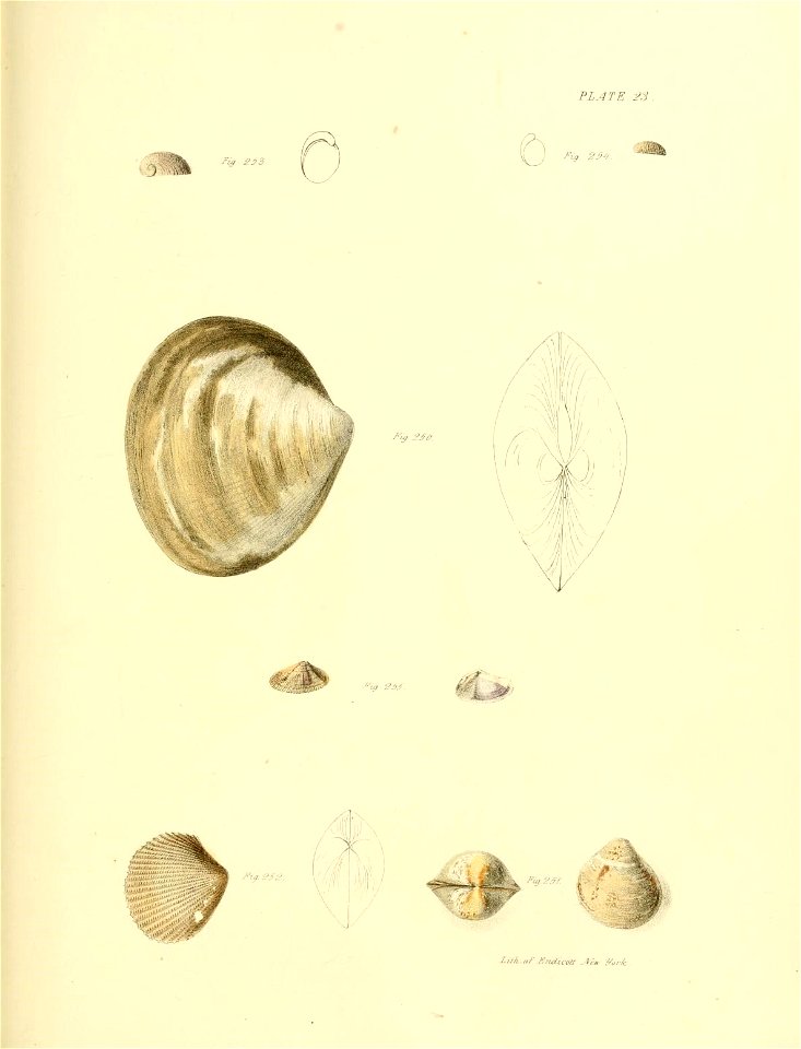 n416_w1150
