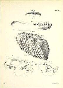 n426_w1150