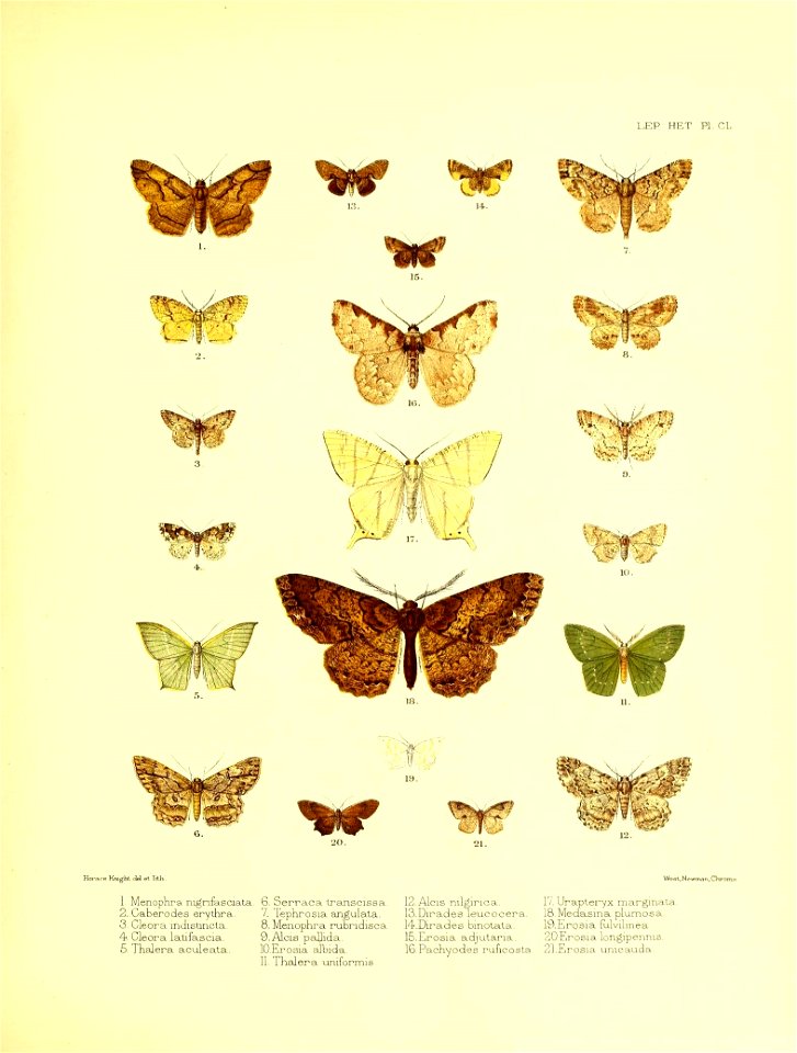 n176_w1150