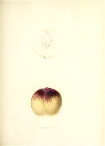n186_w1150