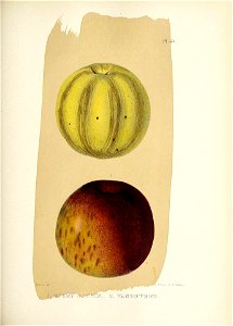 n156_w1150