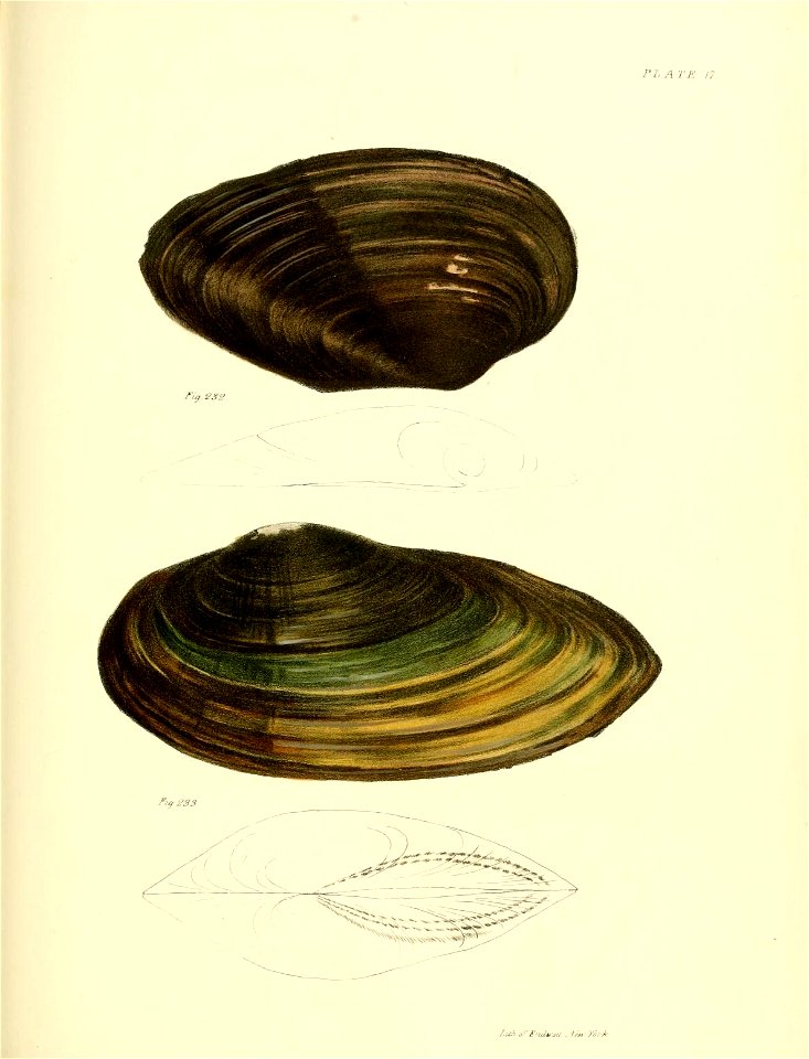 n404_w1150