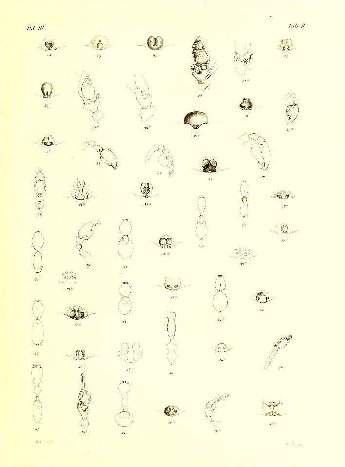n298_w1150