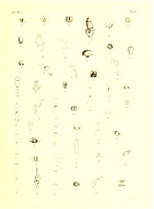 n298_w1150