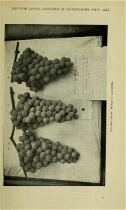 n1328_w1150