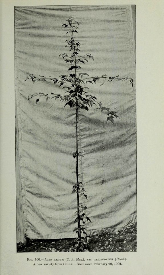 n394_w1150