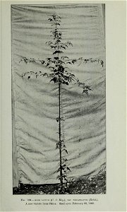 n394_w1150