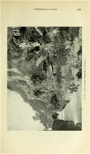 n254_w1150