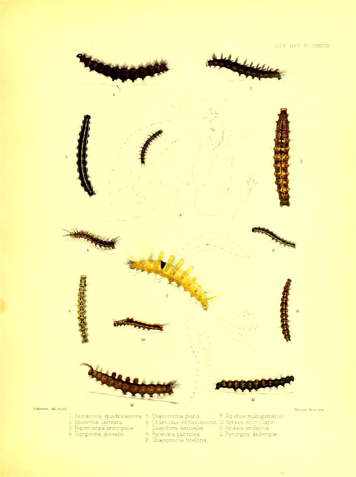 n168_w1150