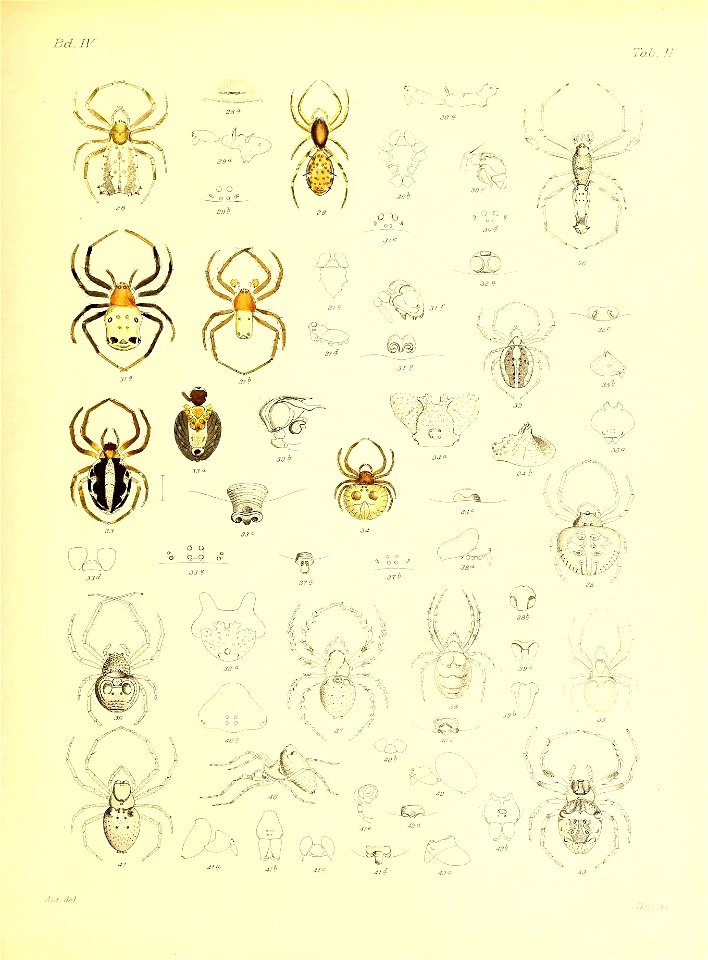 n558_w1150