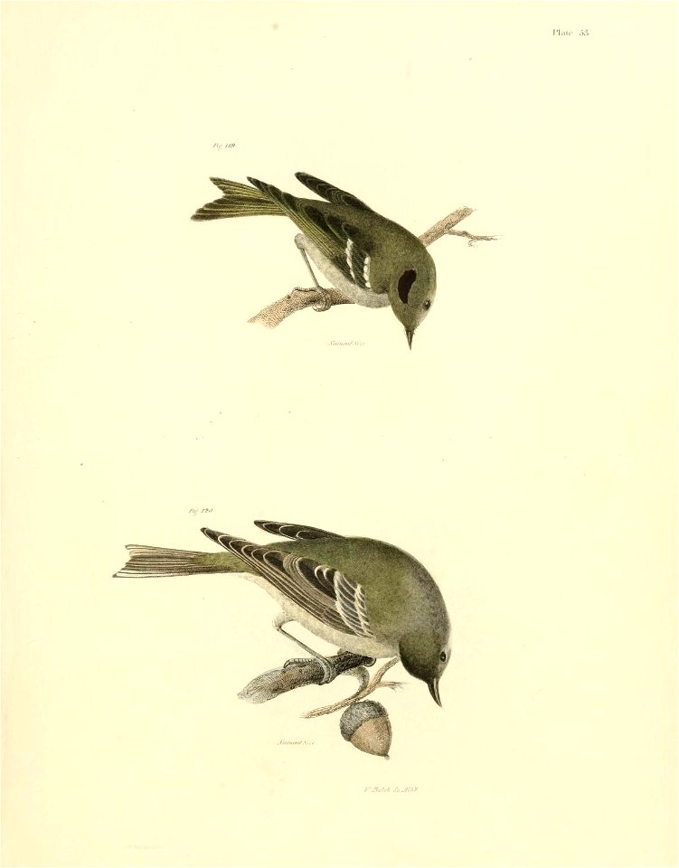 n502_w1150