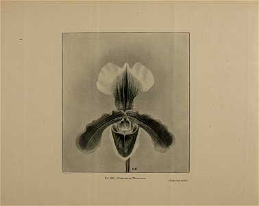 n1417_w1150