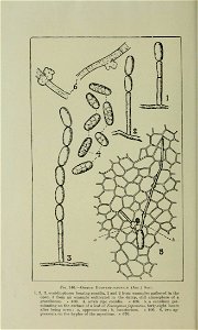 n581_w1150