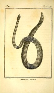 n403_w1150