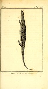 n334_w1150