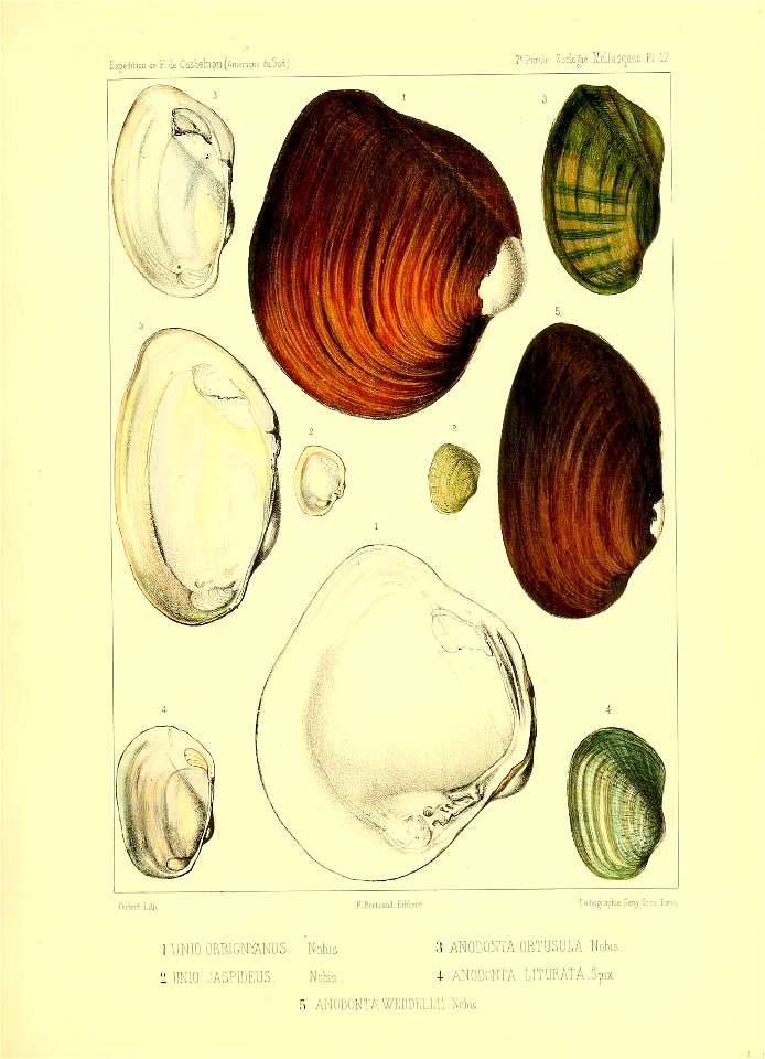 n216_w1150