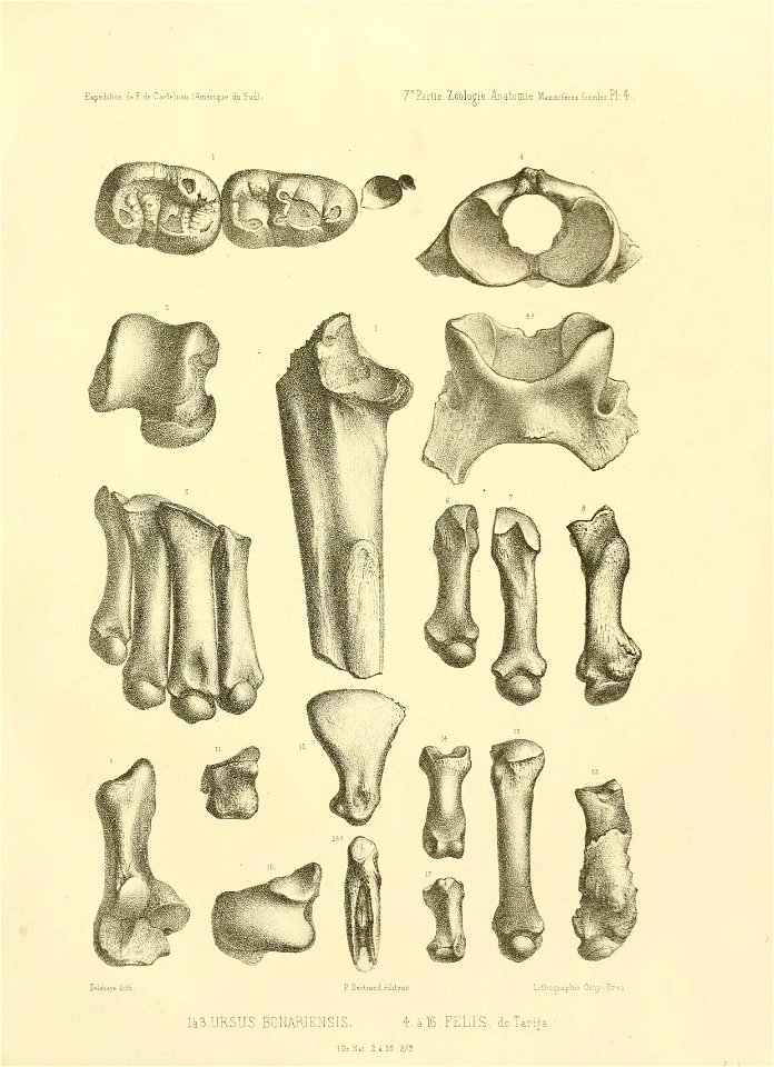 n120_w1150