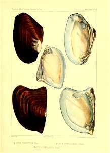 n212_w1150