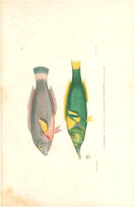 n114_w1150