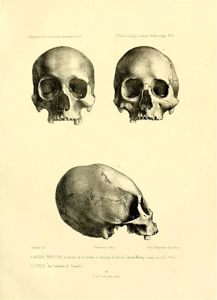 n116_w1150