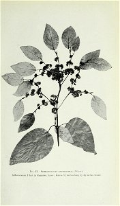 n86_w1150