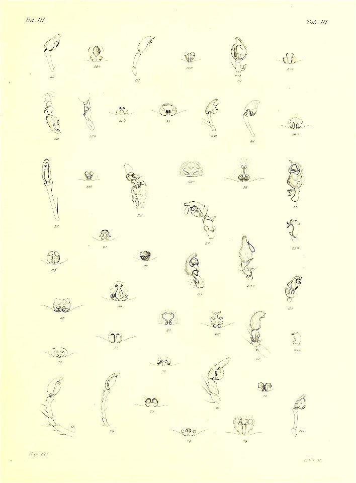 n302_w1150
