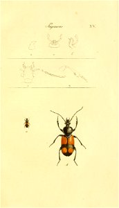 n182_w1150
