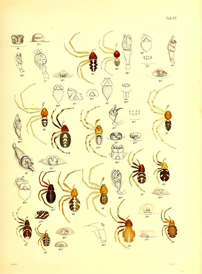 n578_w1150
