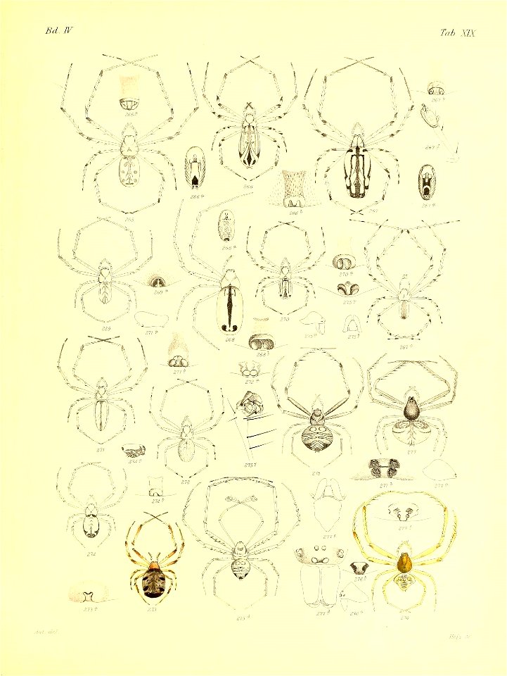 n804_w1150