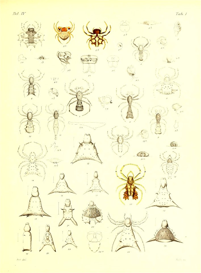 n554_w1150