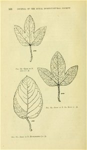 n177_w1150