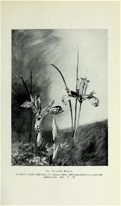 n508_w1150