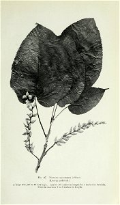 n96_w1150