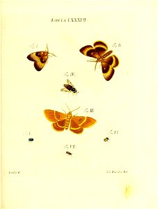 n186_w1150