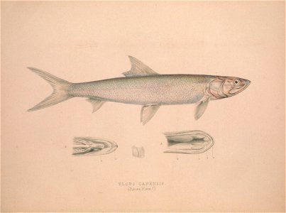n35_w1150