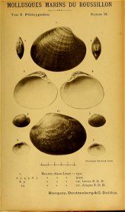 n162_w1150