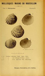 n142_w1150