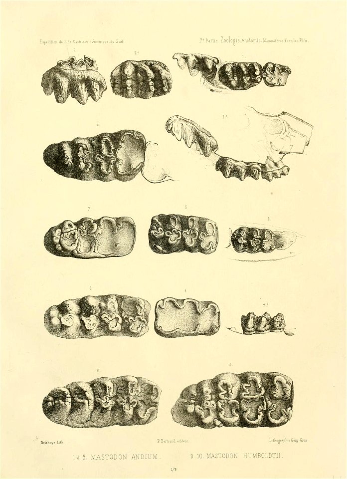 n122_w1150