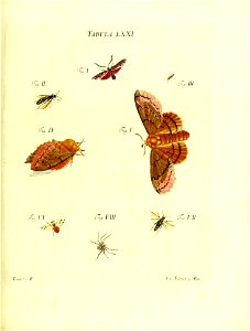 n154_w1150