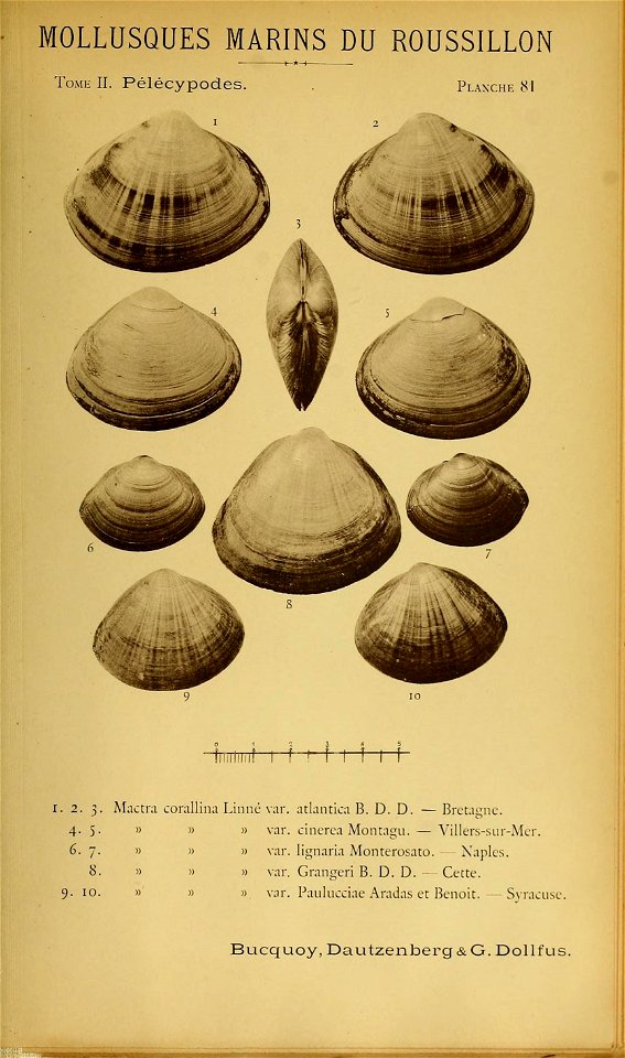 n220_w1150