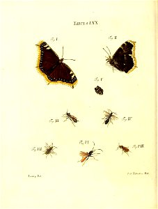 n151_w1150
