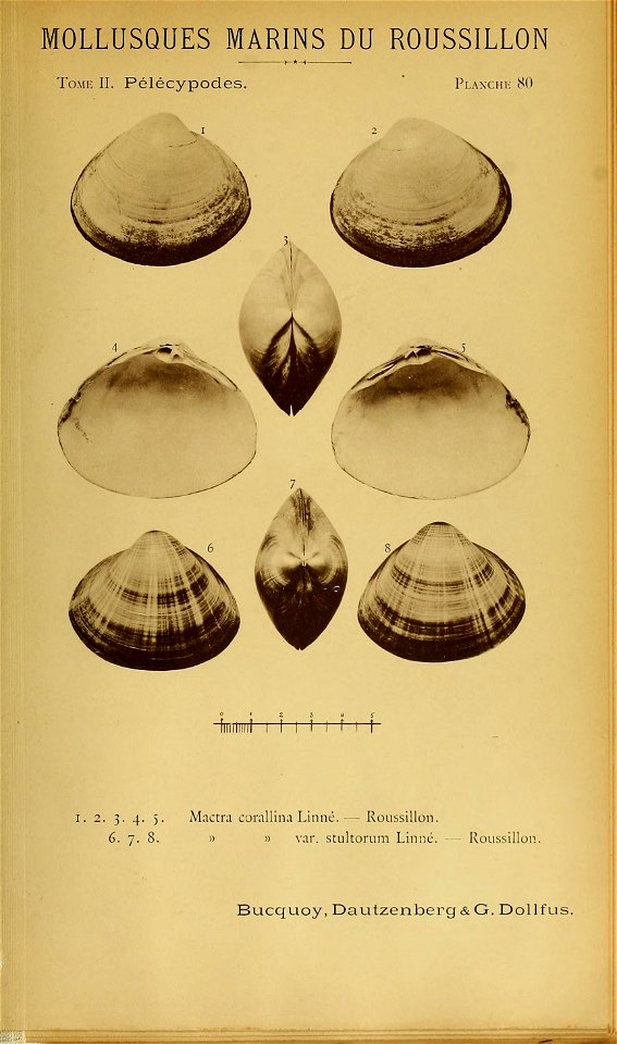 n218_w1150