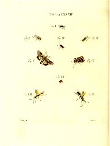 n179_w1150