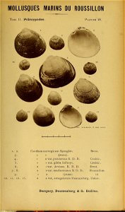 n154_w1150