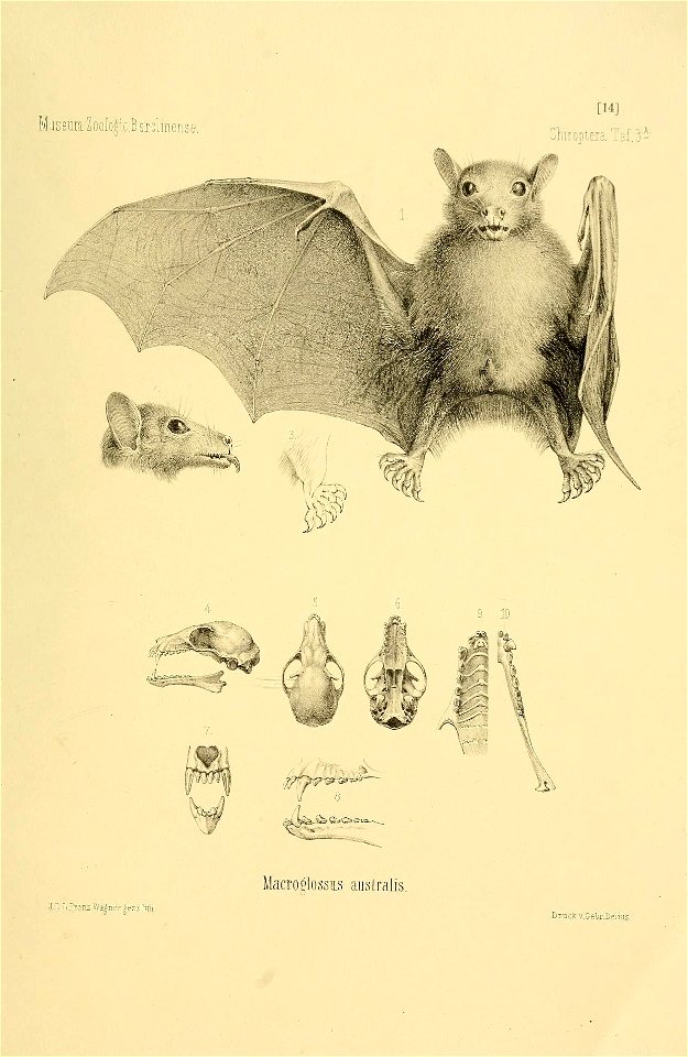 n144_w1150