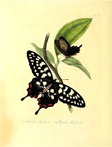 n69_w1150