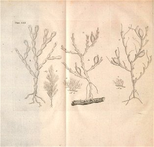 n119_w1150