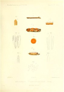 n306_w1150