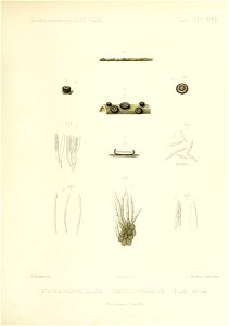 n276_w1150