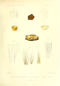 n216_w1150